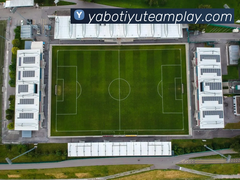 App Interface Preview