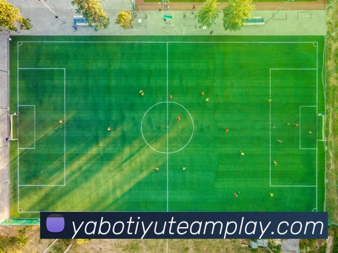 数据防护可视化